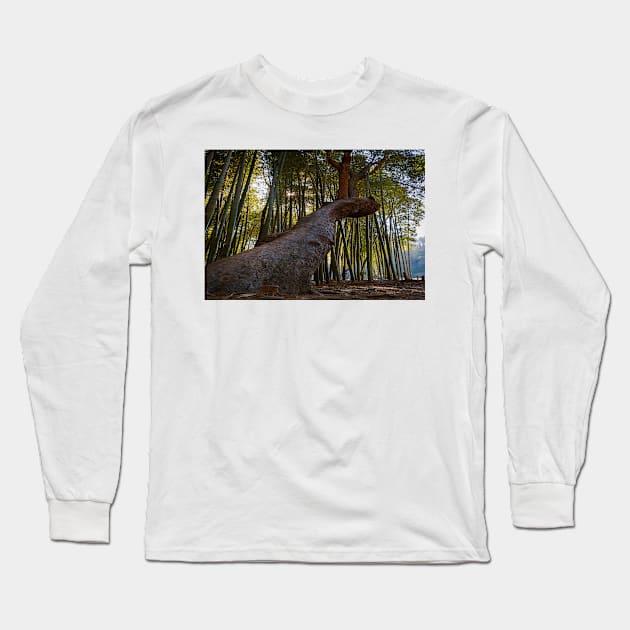 Middle of the Bamboo Forest Long Sleeve T-Shirt by Ckauzmann